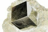 Pristine, Natural Pyrite Cube In Rock - Navajun, Spain #177102-2